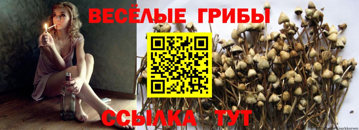 Галлюциногенные грибы MAGIC MUSHROOMS  Вход с VPN  Богородск 